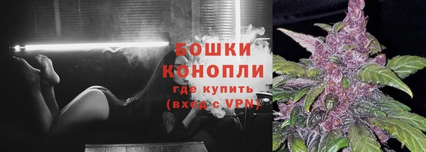 прущие грибы Богородицк