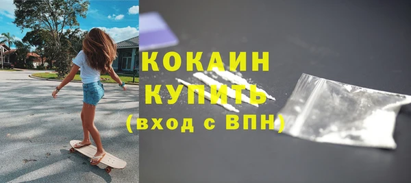 прущие грибы Богородицк