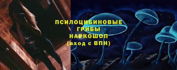 прущие грибы Богородицк