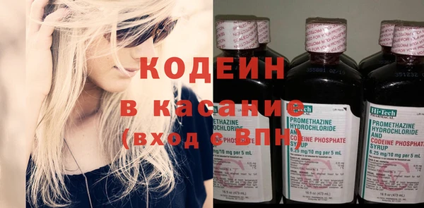 прущие грибы Богородицк