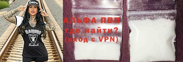 прущие грибы Богородицк