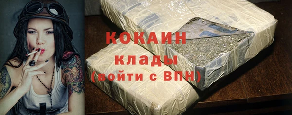 прущие грибы Богородицк