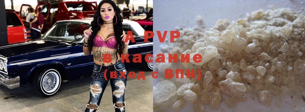 прущие грибы Богородицк