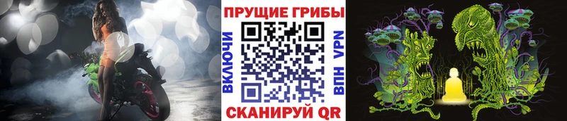 Псилоцибиновые грибы мицелий  где купить наркоту  Михайлов 