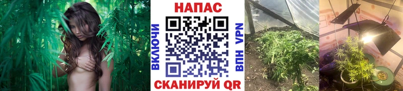Канабис VHQ  Михайлов 